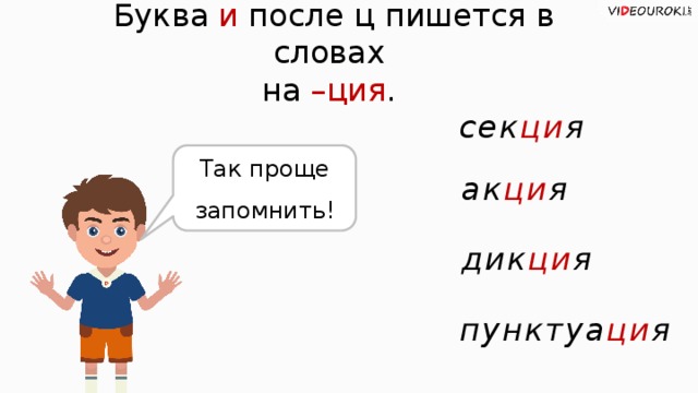 Буква и после ц пишется в словах на –ция .  сек ци я Так проще запомнить! ак ци я дик ци я пунктуа ци я