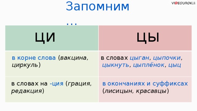 Запомним… ци цы в корне слова ( вакцина, циркуль ) в словах цыган ,  цыпочки , цыкнуть , цыплёнок , цыц в словах на -ция ( грация, редакция ) в окончаниях и суффиксах ( лисицын, красавцы )