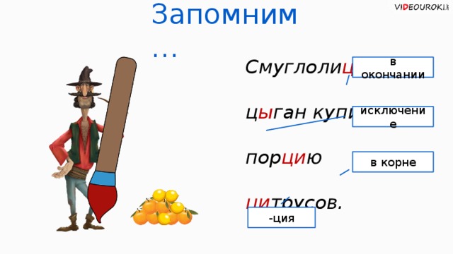 Запомним… в окончании исключение Смуглоли цы й ц ы ган купил пор ци ю ци трусов. в корне -ция