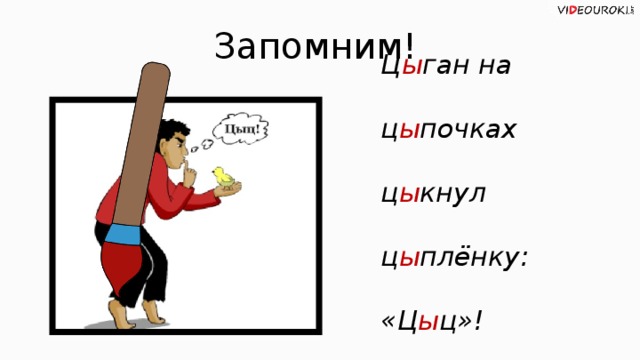 Цыц. Цыпленок на цыпочках цыкнул цыц правило. Исключения цыган на цыпочках цыпленку цыкнул цыц. Цыган на цыпочках цыпленку цыкнул цыц правило. Цыкнул цыц.