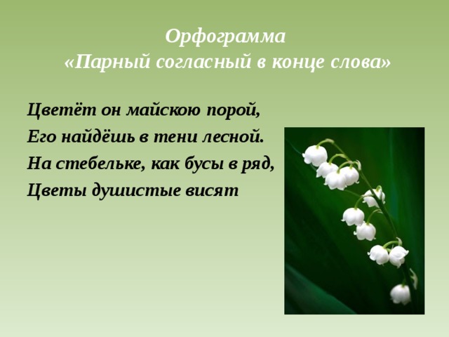 Слово цвести. Цветы с жи ши. Какие цветы расцветают в мае на жи ши. Белые ароматные цветы с жи ши.