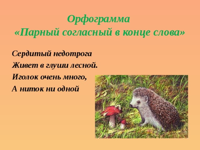 Орфограмма  «Парный согласный в конце слова» Сердитый недотрога Живет в глуши лесной. Иголок очень много, А ниток ни одной 