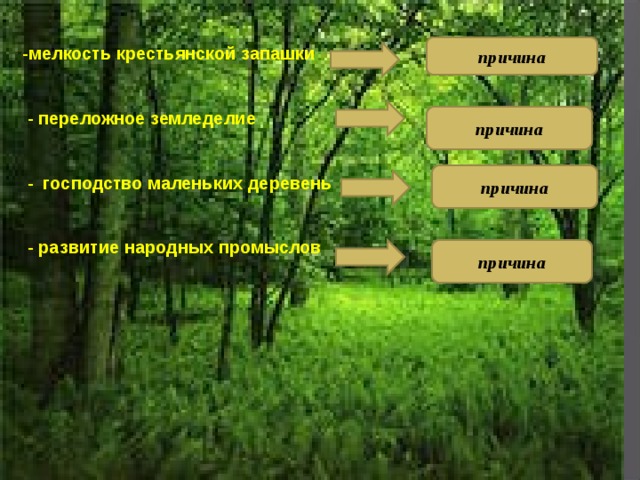 Урок лес. Леса России 8 класс. Таблица лесов России 8 класс. Народы зоны лесов России. Конспект урока по географии 8 класс леса России.