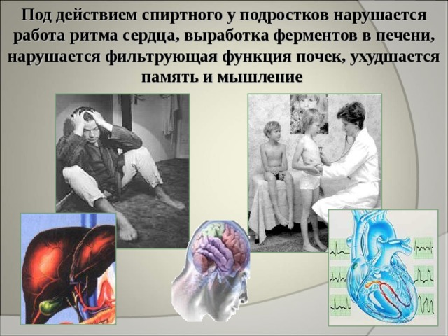 Влияние алкоголя на человека проект "Влияние алкоголя на организм человека"
