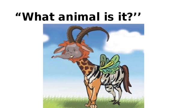 “ What animal is it?’’ 