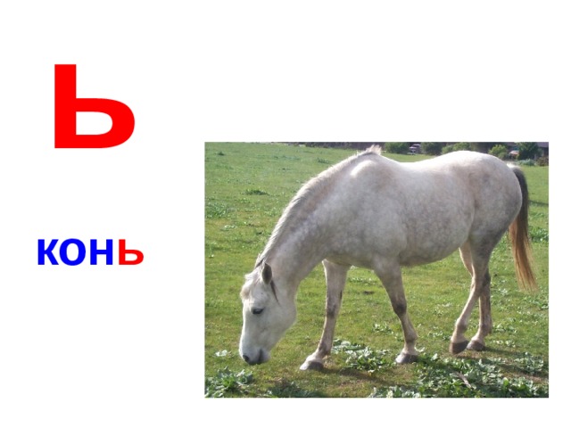 Cценарий праздника "Прощание с Азбукой" в 1 классе - начальные классы, мероприят