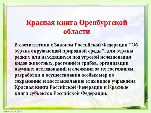 Красная книга оренбургской области животные презентация