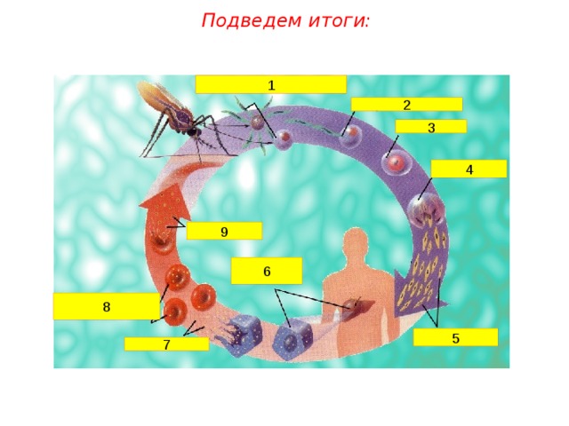 Подведем итоги: 1 2 3 4 9 6 8 5 7 