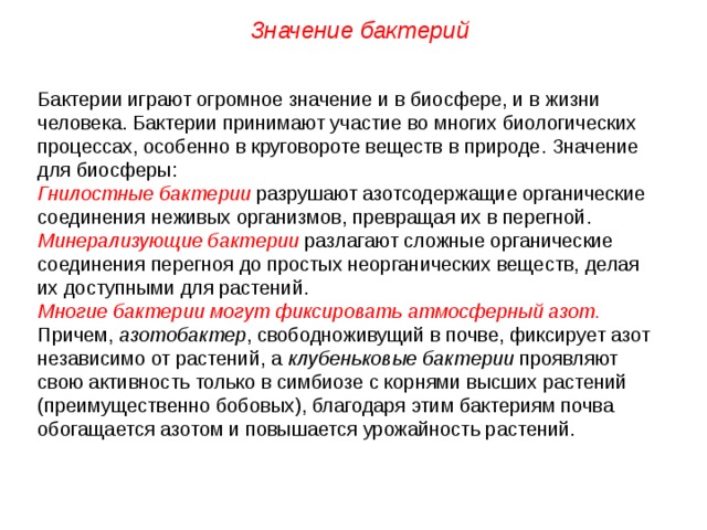 Проект значение бактерий в природе и в жизни человека