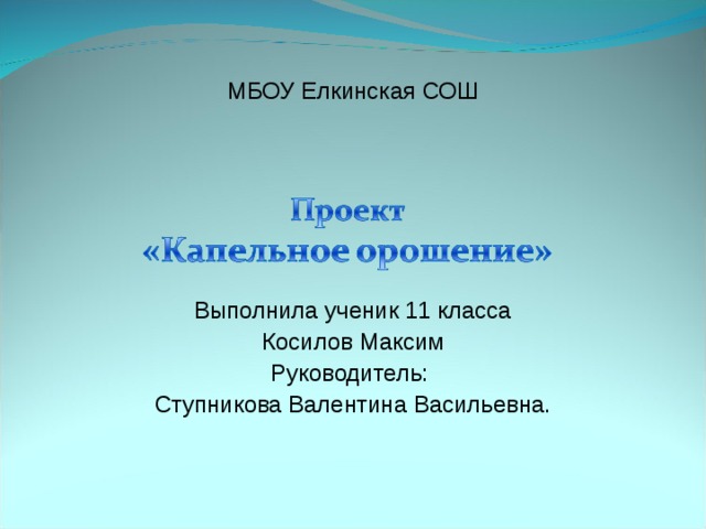 МБОУ Елкинская СОШ Выполнила ученик 11 класса Косилов Максим Руководитель: Ступникова Валентина Васильевна. 