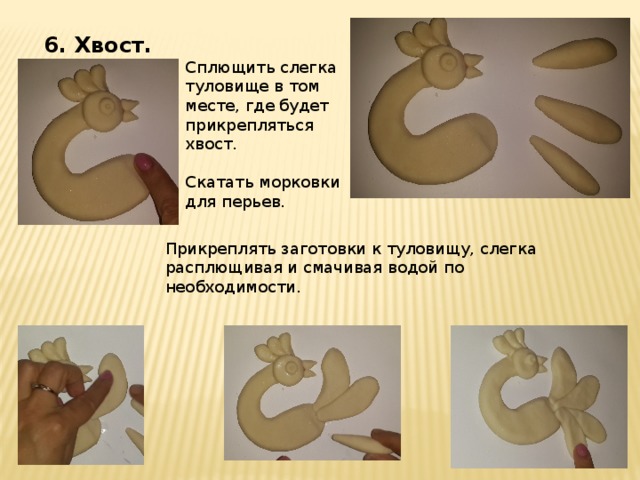 6. Хвост. Сплющить слегка туловище в том месте, где будет прикрепляться хвост. Скатать морковки для перьев. Прикреплять заготовки к туловищу, слегка расплющивая и смачивая водой по необходимости. 