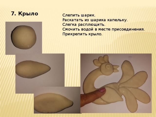 7. Крыло Слепить шарик. Раскатать из шарика капельку. Слегка расплющить. Смочить водой в месте присоединения. Прикрепить крыло.  