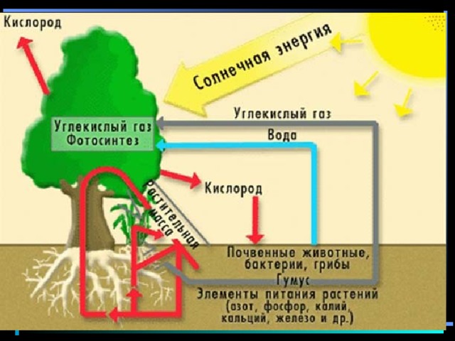 Схема круговорота веществ в географической оболочке