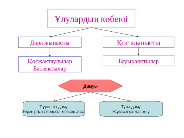 Тура даму және түрленіп даму презентация