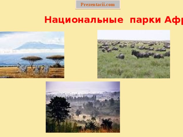 Национальные парки африки проект