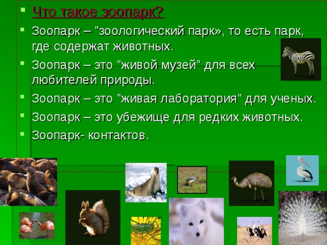 Что такое зоопарк 1 класс. Зоопарк это определение для детей. Презентация зоопарк. Презентация про зоопарк 1 класс. Зоопарк презентация 3 класс.