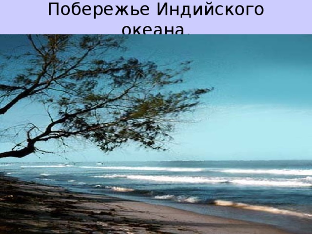 Побережье Индийского океана.