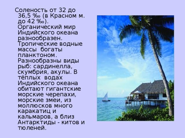 Соленость от 32 до 36,5 ‰ (в Красном м. до 42 ‰). Органический мир Индийского океана разнообразен. Тропические водные массы богаты планктоном. Разнообразны виды рыб: сардинелла, скумбрия, акулы. В тёплых водах Индийского океана обитают гигантские морские черепахи, морские змеи, из моллюсков много каракатиц и кальмаров, а близ Антарктиды  -  китов и тюленей.