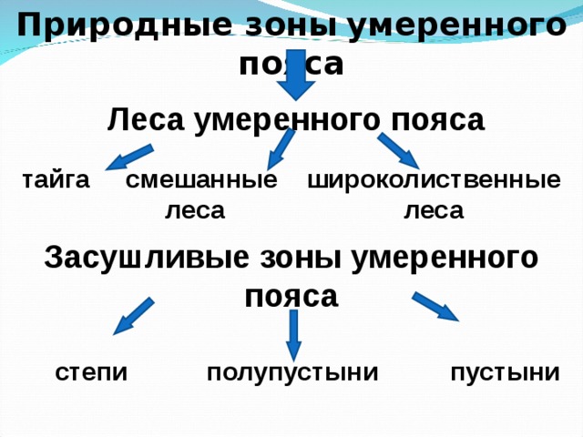 Географическое расположение умеренного пояса Природные зоны Земли
