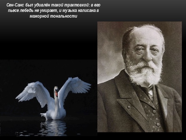 Сен-Санс был удивлён такой трактовкой: в его пьесе лебедь не умирает, и музыка написана в мажорной тональности  