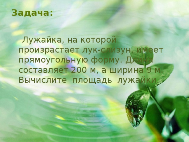 Задача:    Лужайка, на которой произрастает лук-слизун, имеет прямоугольную форму. Длина составляет 200 м, а ширина 9 м. Вычислите площадь лужайки. 