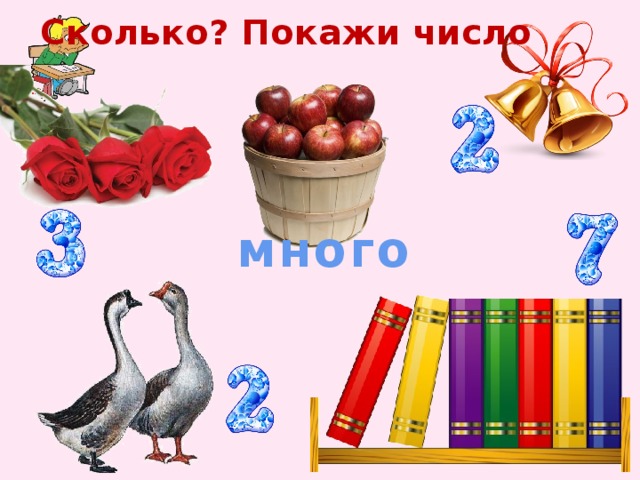 Сколько? Покажи число много