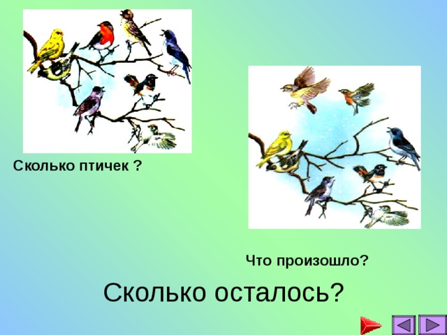 Сколько птичек ? Что произошло? Сколько осталось?