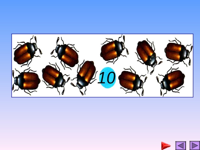 10