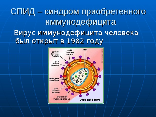СПИД – синдром приобретенного иммунодефицита  Вирус иммунодефицита человека был открыт в 1982 году 