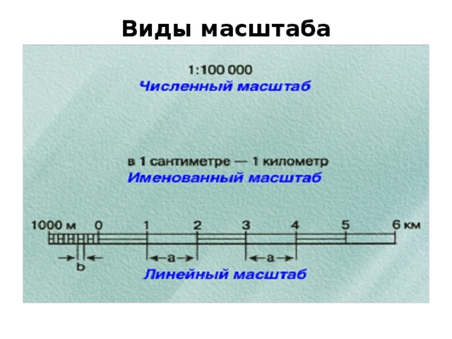 На одном и том же плане местности численный именованный и линейный масштабы показывают уменьшение