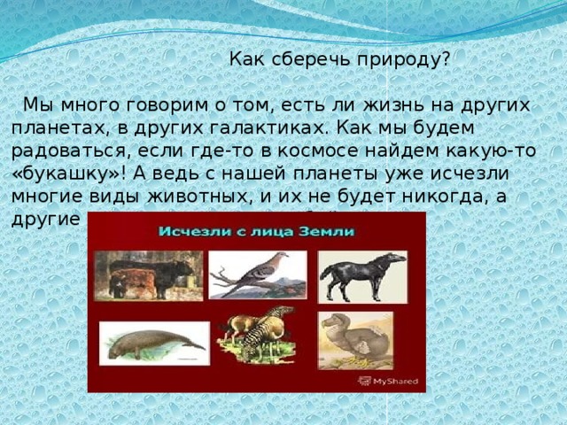  Как сберечь природу?  Мы много говорим о том, есть ли жизнь на других планетах, в других галактиках. Как мы будем радоваться, если где-то в космосе найдем какую-то «букашку»! А ведь с нашей планеты уже исчезли многие виды животных, и их не будет никогда, а другие могут исчезнуть в любой момент. 