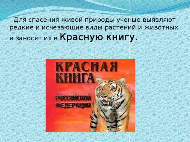  Для спасения живой природы ученые выявляют редкие и исчезающие виды растений и животных и заносят их в Красную книгу. 