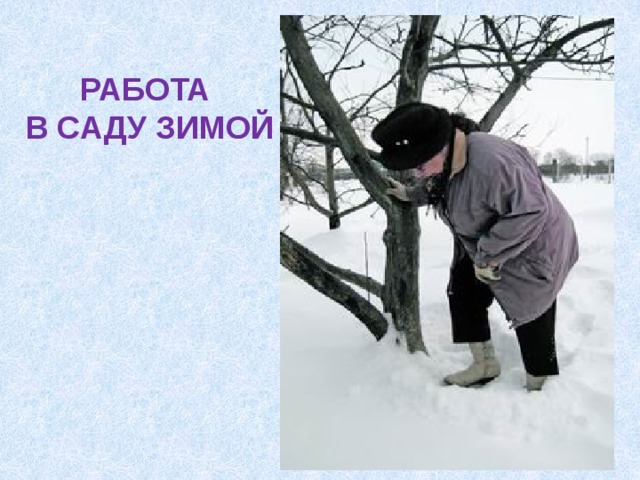 Презентация работа людей зимой