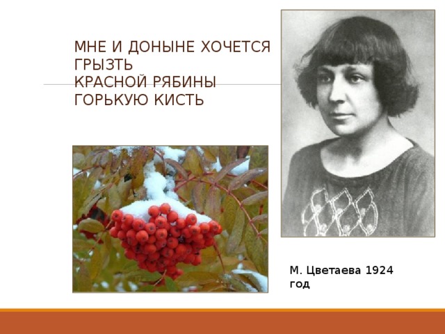 Анализ стихотворения красною кистью цветаева. Цветаева рябина. Цветаева красной рябины горькую кисть. Красной рябиной Цветаева.