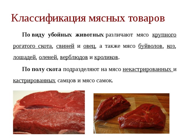 Классификация мяса схема