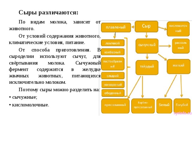   Сыры различаются:   По видам молока, зависит от животного.   От условий содержания животного, климатические условия, питание.   От способа приготовления. В сыроделии используют сычуг, для свёртывания молока. Сычужный фермент содержится в желудке жвачных животных, питающихся исключительно молоком.   Поэтому сыры можно разделить на:  • сычужные;  • кисломолочные. 