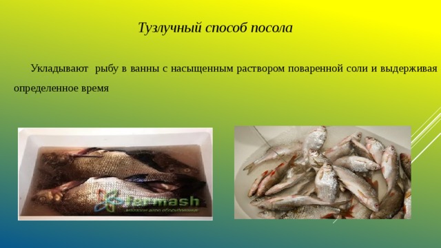 Тузлучный способ посола  Укладывают рыбу в ванны с насыщенным раствором поваренной соли и выдерживая определенное время 