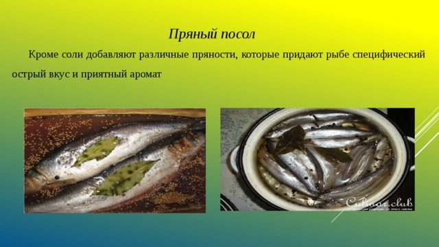 Пряный посол  Кроме соли добавляют различные пряности, которые придают рыбе специфический острый вкус и приятный аромат 