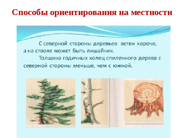 Способы ориентирования на местности 