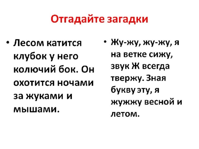 Загадка леса составь и запиши план текста