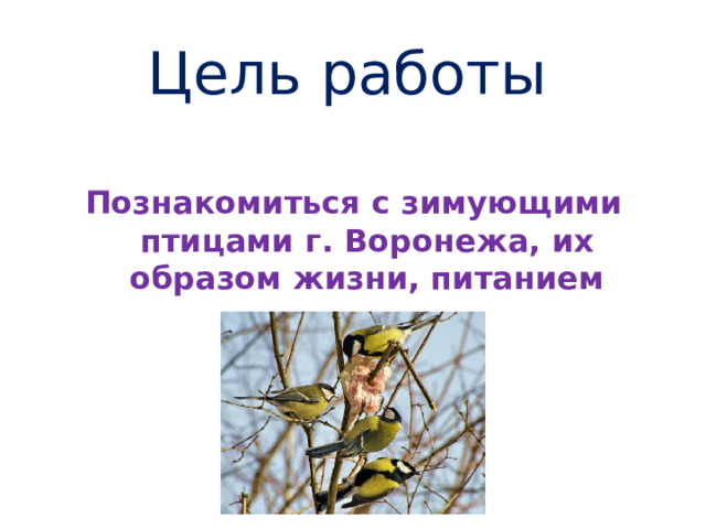 Цель работы Познакомиться с зимующими птицами г. Воронежа, их образом жизни, питанием  