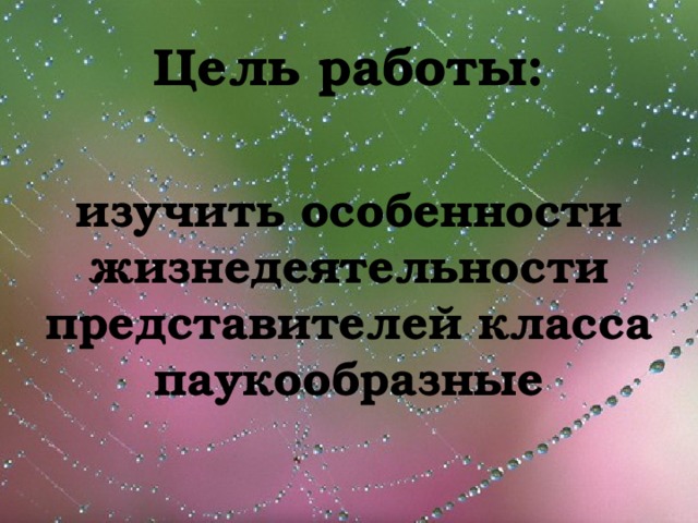 Цель работы:   изучить особенности жизнедеятельности представителей класса паукообразные 