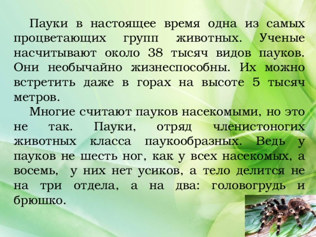  Пауки в настоящее время одна из самых процветающих групп животных. Ученые насчитывают около 38 тысяч видов пауков. Они необычайно жизнеспособны. Их можно встретить даже в горах на высоте 5 тысяч метров.  Многие считают пауков насекомыми, но это не так. Пауки, отряд членистоногих животных класса паукообразных. Ведь у пауков не шесть ног, как у всех насекомых, а восемь, у них нет усиков, а тело делится не на три отдела, а на два: головогрудь и брюшко. 