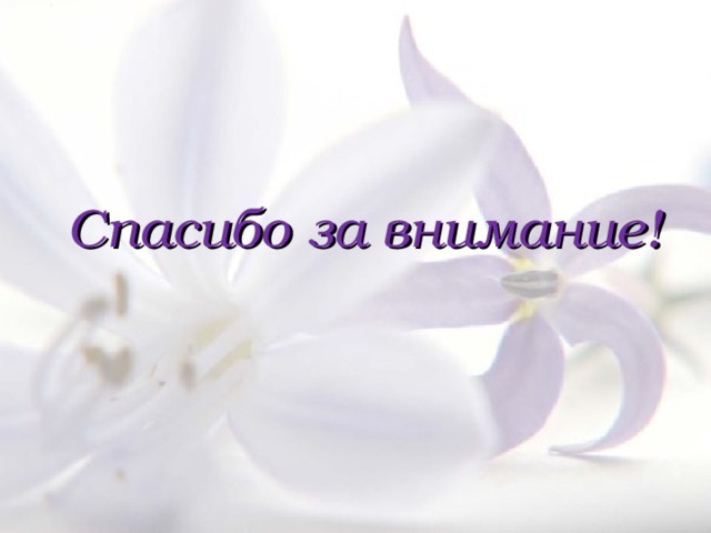 Спасибо за внимание! 