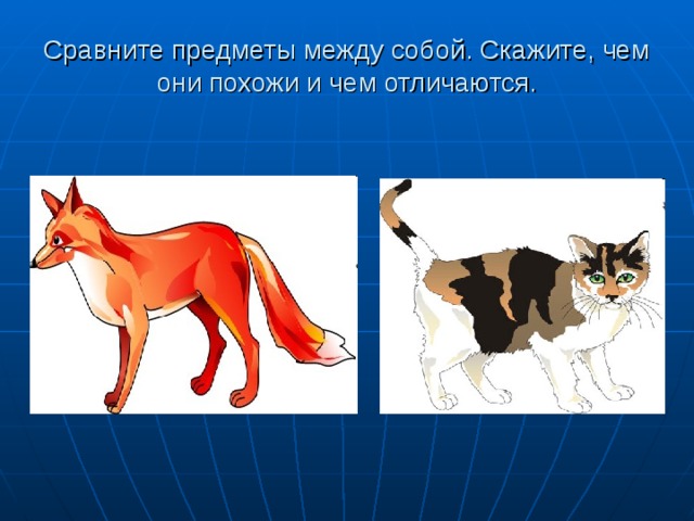 Сравните предметы между собой. Скажите, чем они похожи и чем отличаются. 