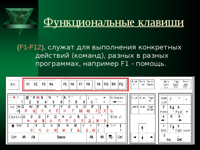 Функциональные клавиши ( F1-F12 ) , служат для выполнения конкретных действий (команд), разных в разных программах, например F1 - помощь. 