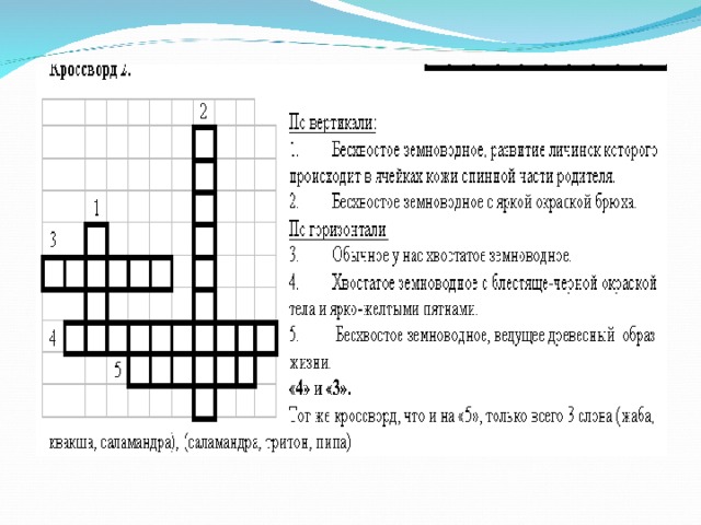 Кроссворд по земноводным 7 класс с ответами. Кроссворд на тему земноводные. Кроссворд на тему класс земноводные. Кроссворд на тему амфибии. Кроссворд на тему многообразие земноводных.