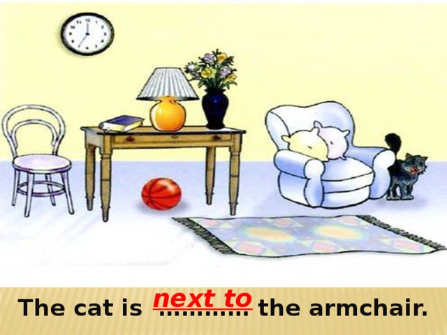 next to  The cat is ………… the armchair. 