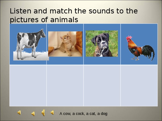 Listen and match the sounds to the pictures of animals A cow, a cock, a cat, a dog 