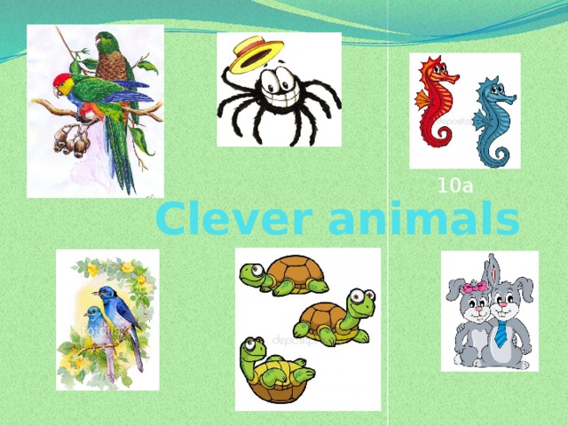 Clever animals 3 класс презентация